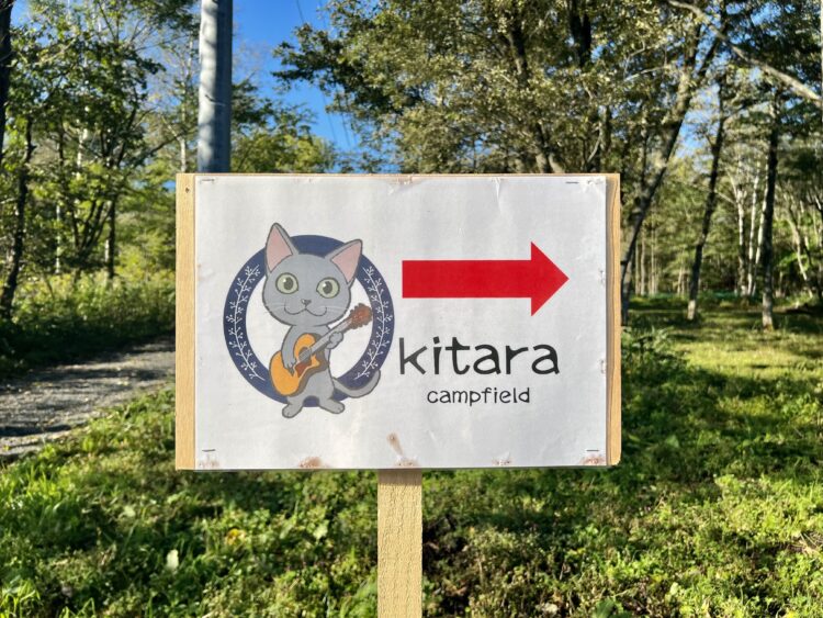 kithara-campfield-6